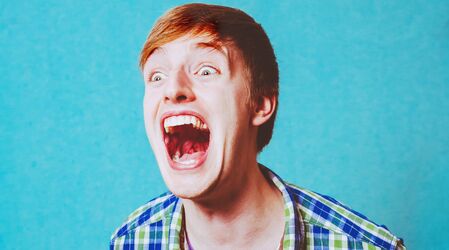 THE WIMPS SHOW (PADAVKY)