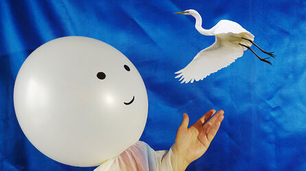 KOTUKU AND THE MOON CHILD (KOTUKU A HOLČIČKA Z MĚSÍCE)